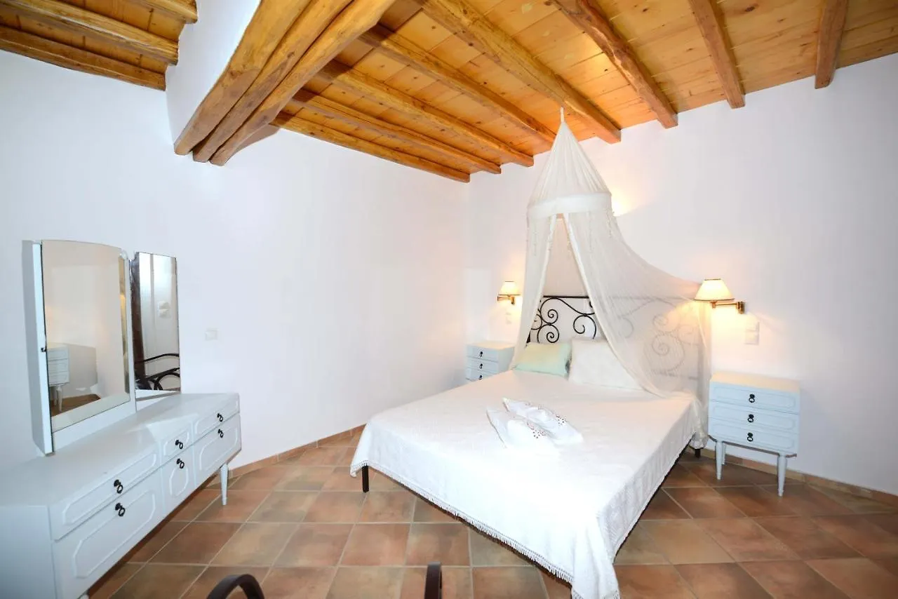Authentic Seaview Luxury Pool Villa - Agrari Beach Mykonos Town